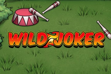 Wild Joker in Online Casino