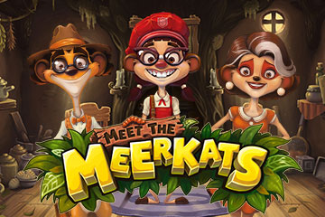 Meet The Meerkats