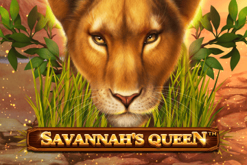 Slot Wild Savannah's Queen without registration