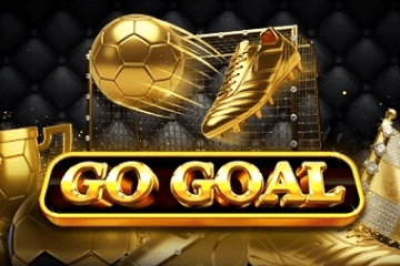Play Go Goal