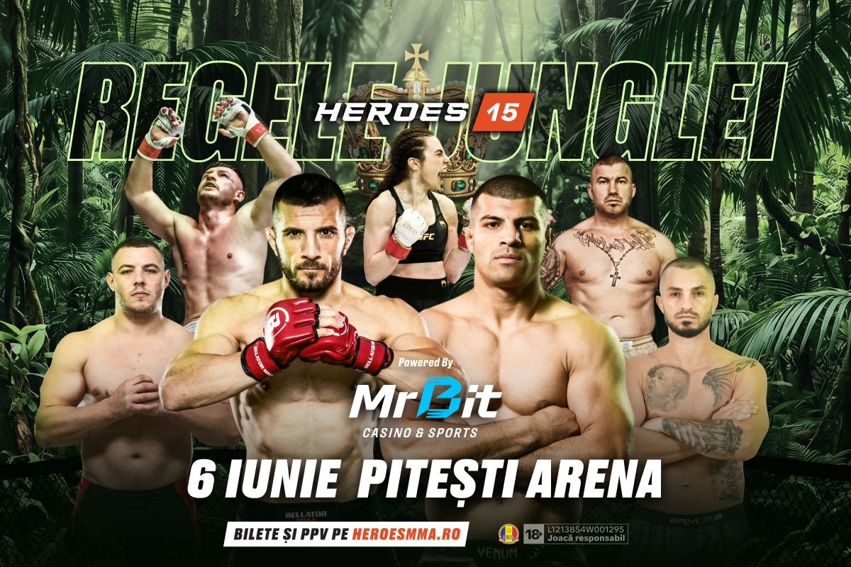 MMA Heroes 15