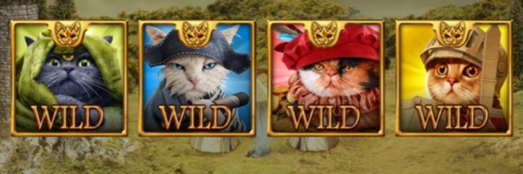 Feline Fury Slot Is A Super Game
