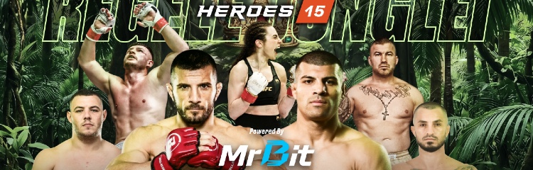 MMA Heroes 15