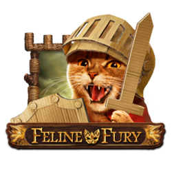 Feline Fury Slot Is A Super Game