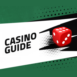 Rules And Guides For Casino Games