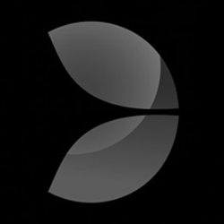Evolution Gaming