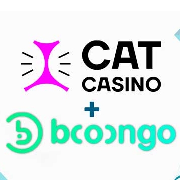 CatCasino Takes Booongo Slots