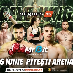 MMA Heroes 15